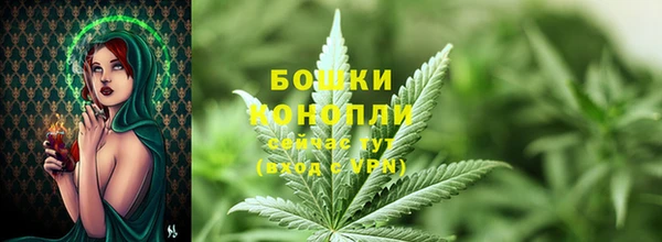 эйфоретик Осташков