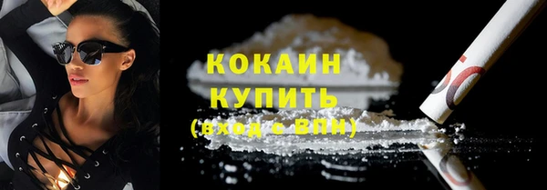 дживик Осинники