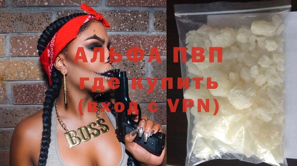 дживик Осинники