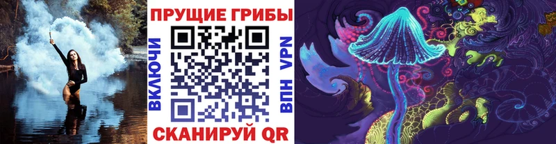 MEGA ссылка  закладка  Суоярви  Галлюциногенные грибы GOLDEN TEACHER 